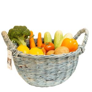 Basajan - Medium Basket with Handle