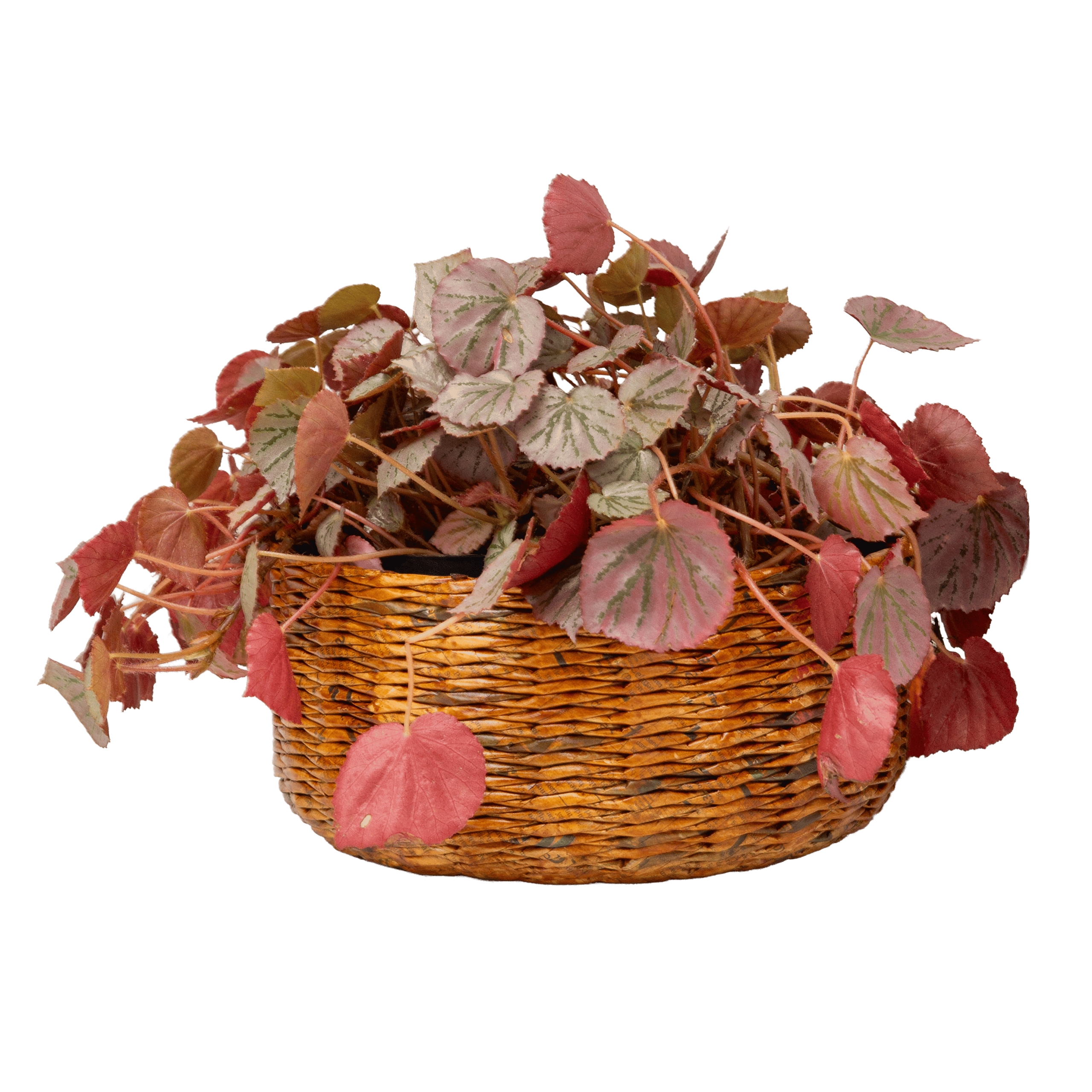 Timpuh - Handwoven Medium Basket with Lid